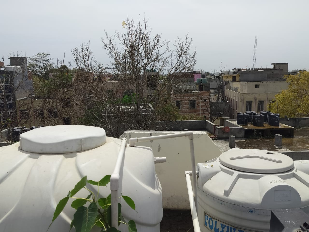 2BHK flat in laxmi nagar